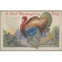 Unused Thanksgiving Postcard with Large Turkey on front 
