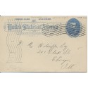 Chicago Illinois 1895 American Machine cancel DW3-2 (5) Hamner 39 on postal card 