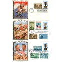 #2552 Desert Storm & Shield lot of 4 combos Colorano Silk cachet First Day covers 